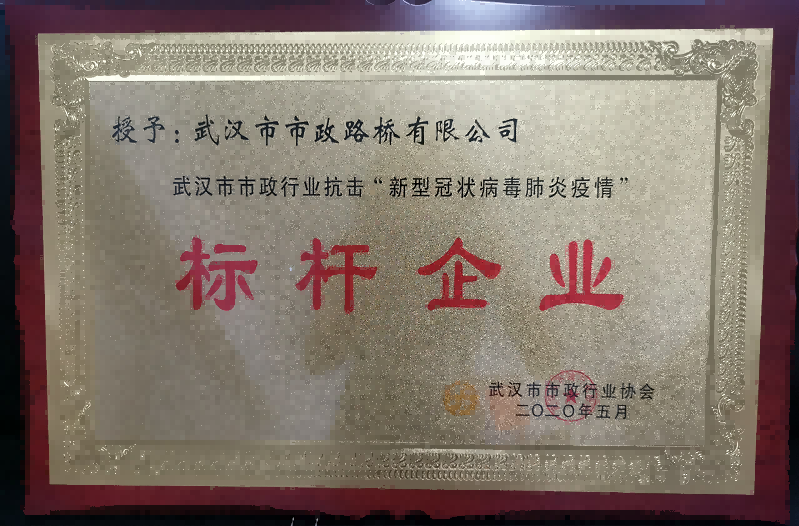 武漢市市政行業(yè)抗擊“新型冠狀病毒肺炎疫情”標桿企業(yè)